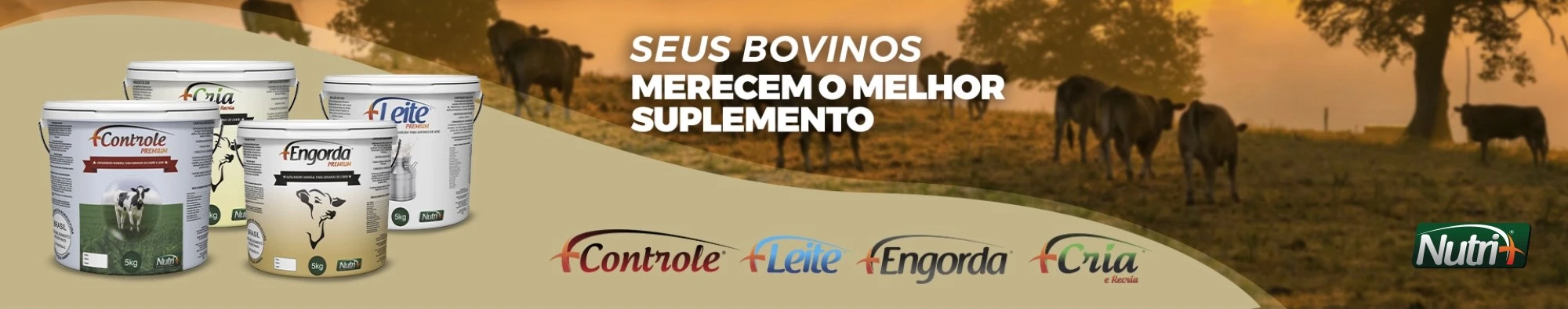 Banner de bovinos