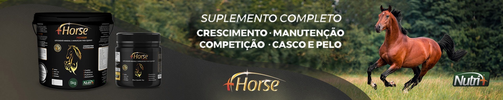 Banner de Cães