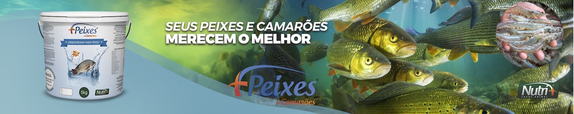 Banner de Peixes