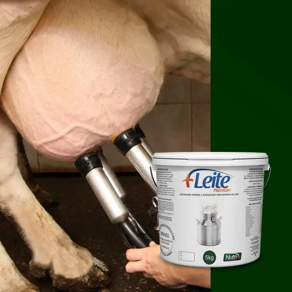 Foto produto