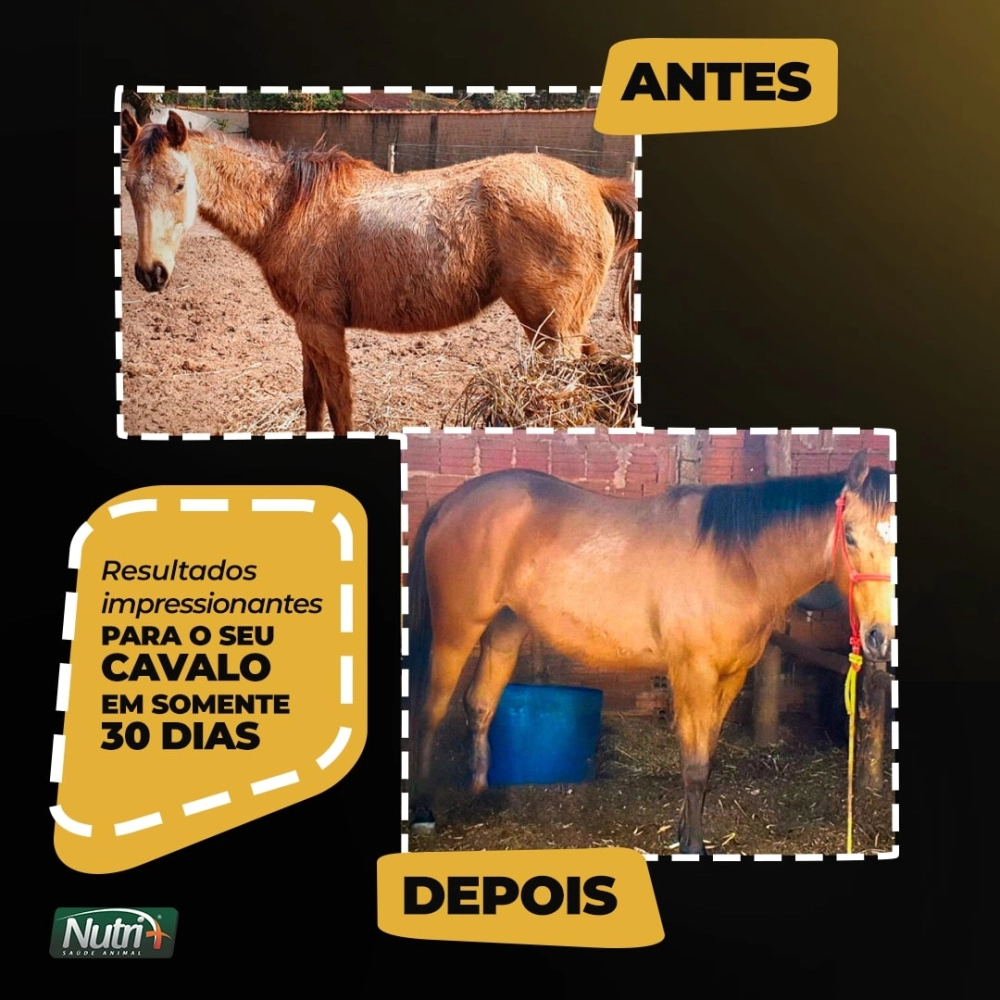 1KG DE SUPLEMENTO +HORSE (FRETE GRÁTIS)