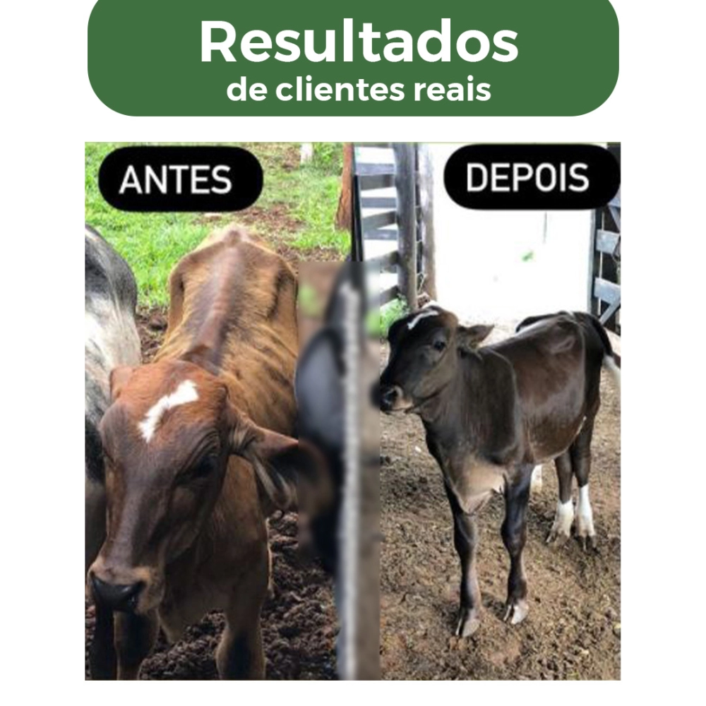 2 BALDES 5KG CADA DE SUPLEMENTO +CRIA (FRETE GRÁTIS)