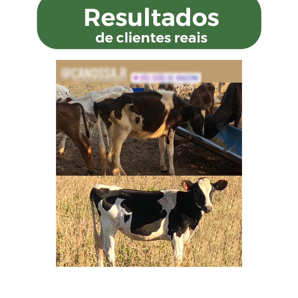 2 BALDES 5KG CADA DE SUPLEMENTO +CRIA (FRETE GRÁTIS)