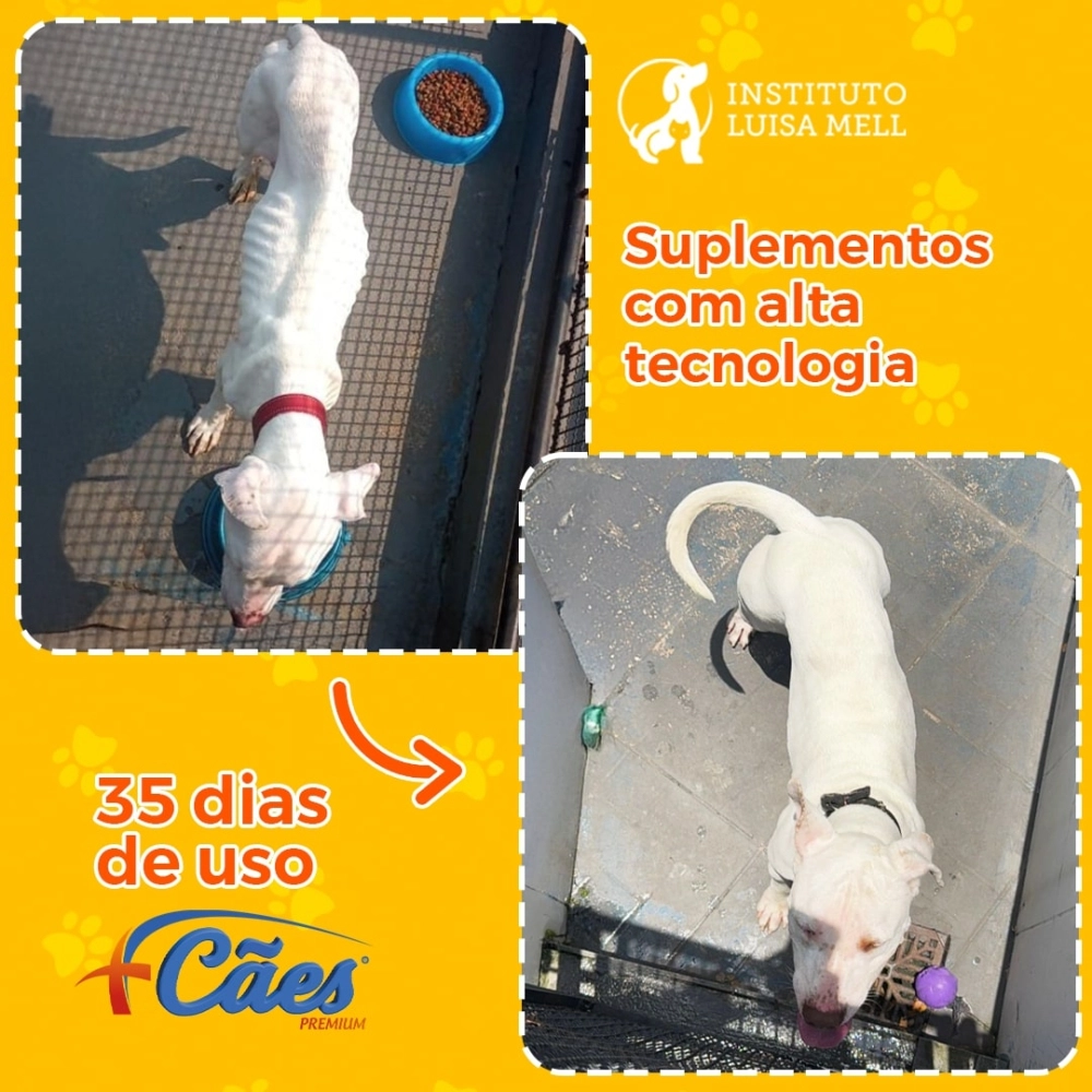 2 POTES 250G CADA DE SUPLEMENTO +CÃES (FRETE GRÁTIS)