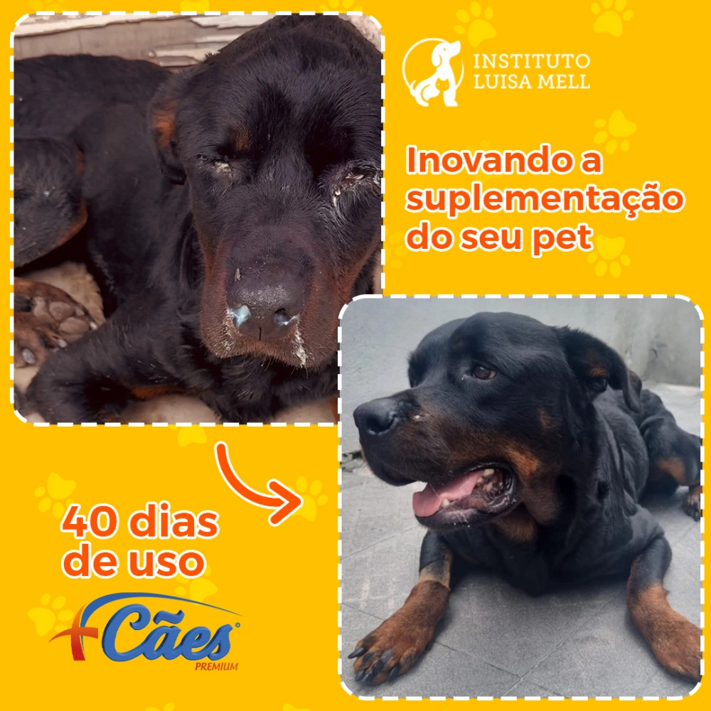 2 POTES 250G CADA DE SUPLEMENTO +CÃES (FRETE GRÁTIS)