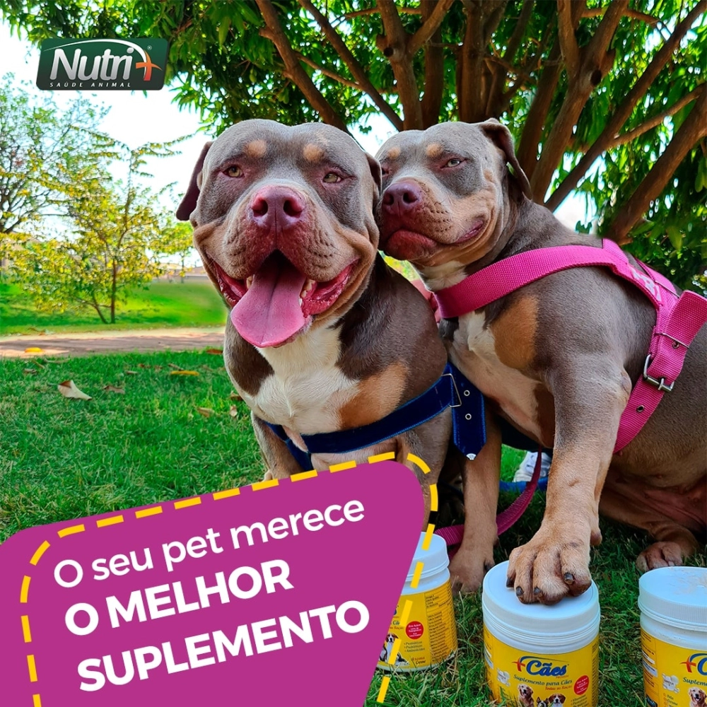 2 POTES 250G CADA DE SUPLEMENTO +CÃES (FRETE GRÁTIS)