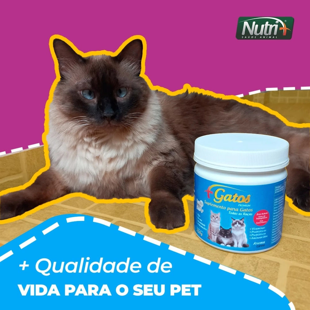 2 POTES 250G CADA DE SUPLEMENTO +GATOS (FRETE GRÁTIS)