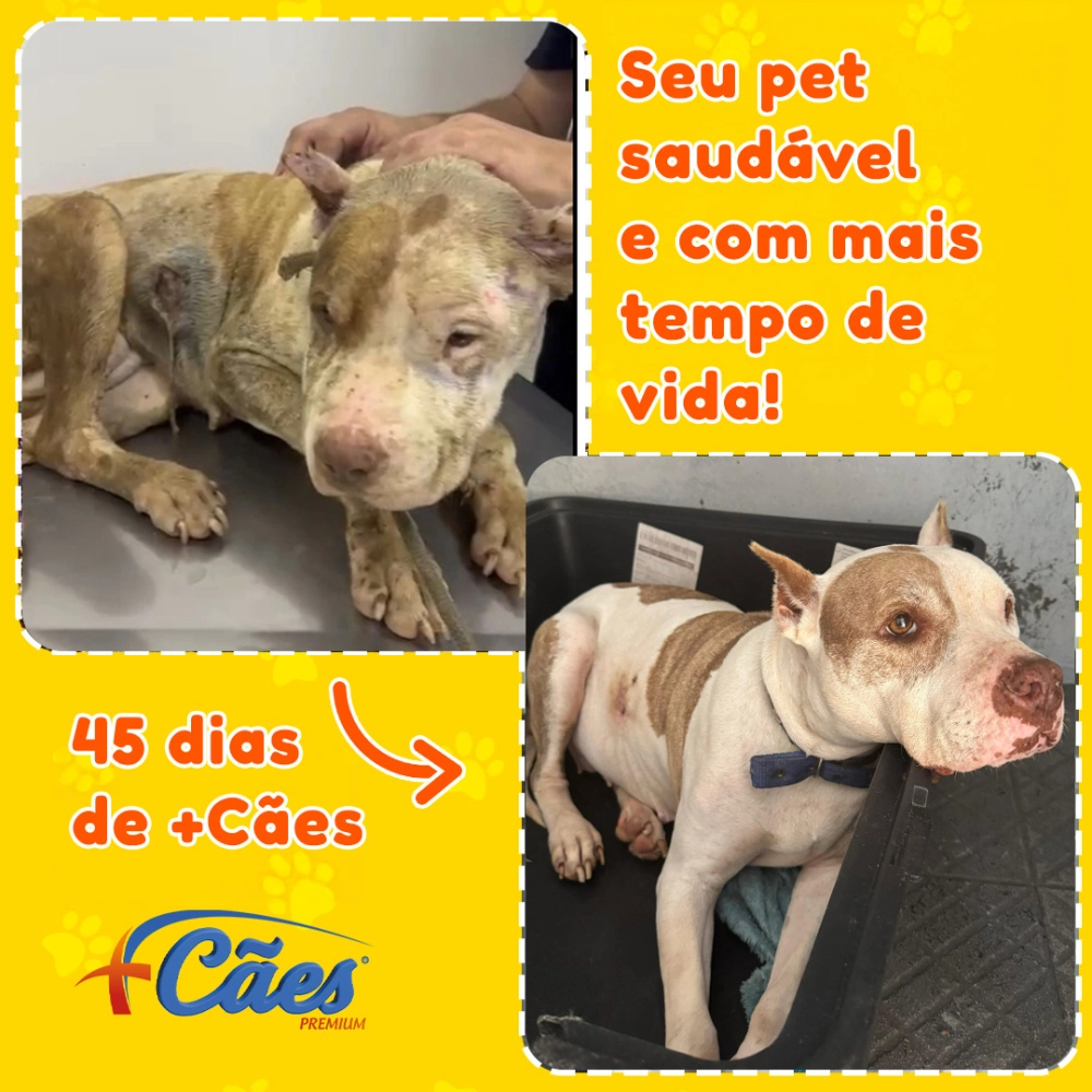 250G DE SUPLEMENTO +CÃES‎
