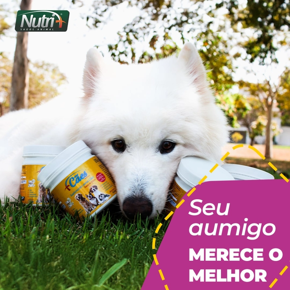 250G DE SUPLEMENTO +CÃES‎