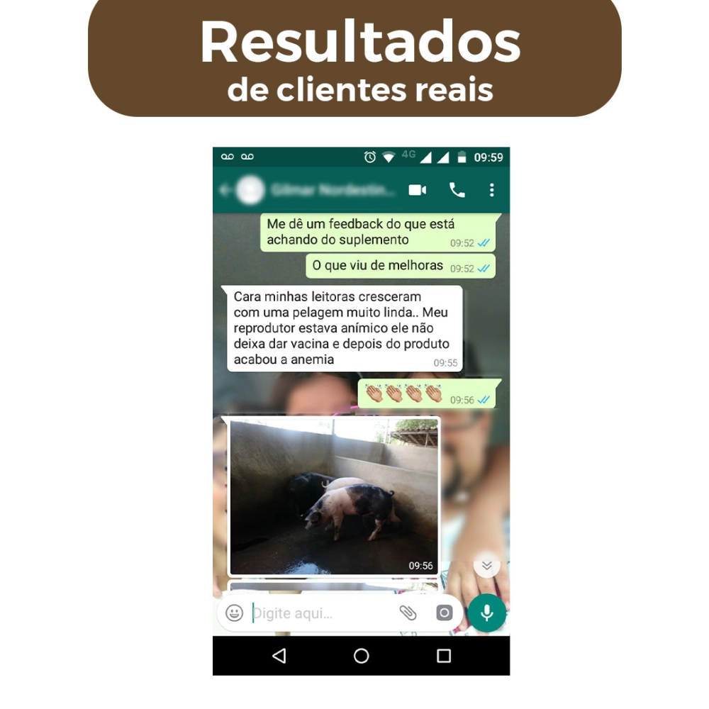 5KG DE CONCENTRADO +SUÍNOS (FRETE GRÁTIS)
