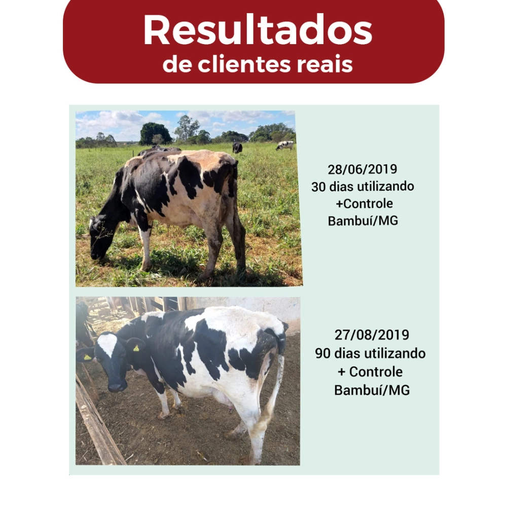 5KG DE SUPLEMENTO +CONTROLE (FRETE GRÁTIS)