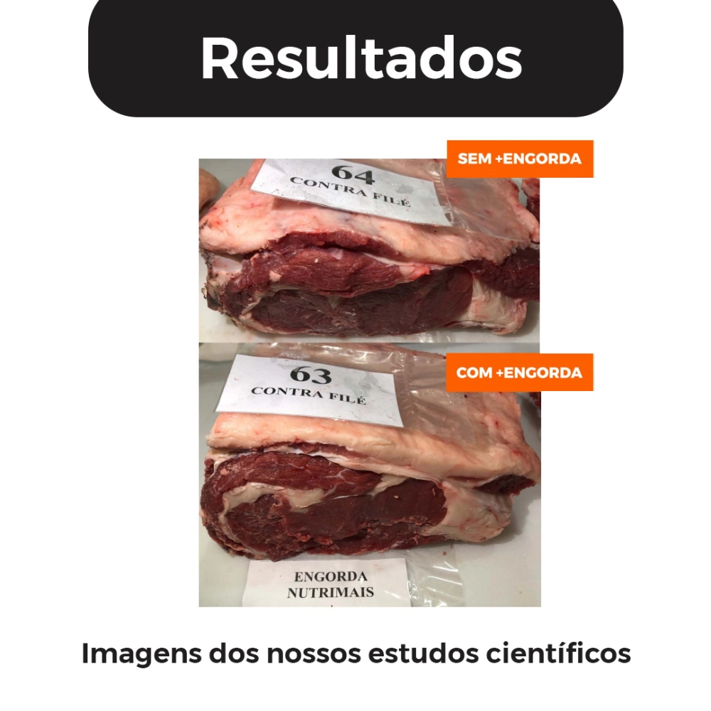 5KG DE SUPLEMENTO +ENGORDA (FRETE GRÁTIS)