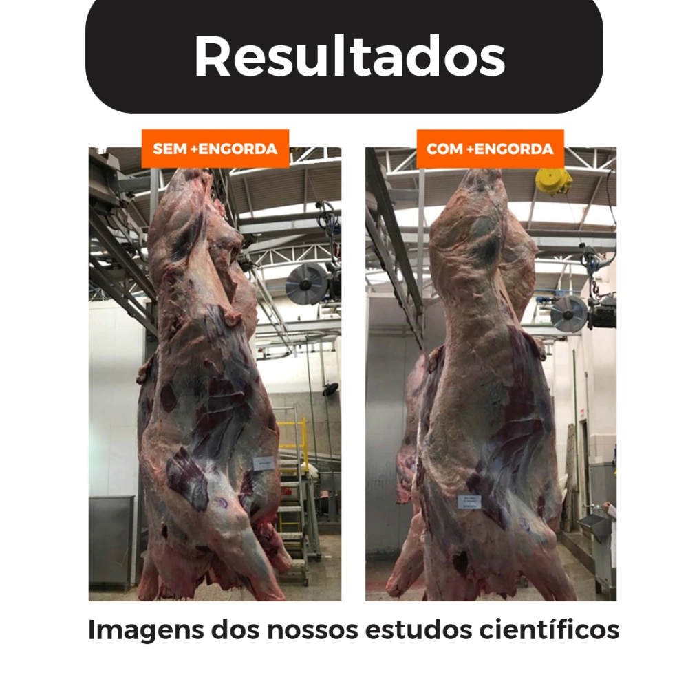 5KG DE SUPLEMENTO +ENGORDA (FRETE GRÁTIS)