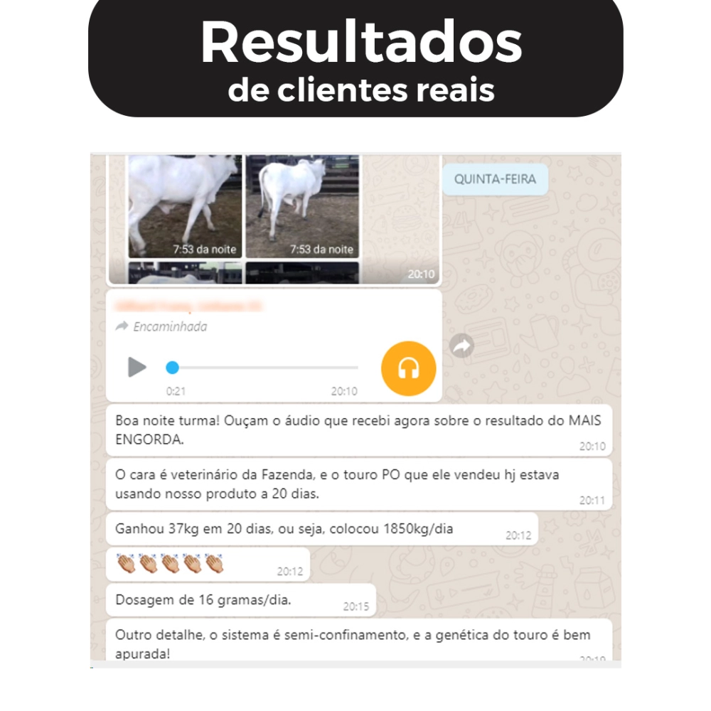 5KG DE SUPLEMENTO +ENGORDA (FRETE GRÁTIS)