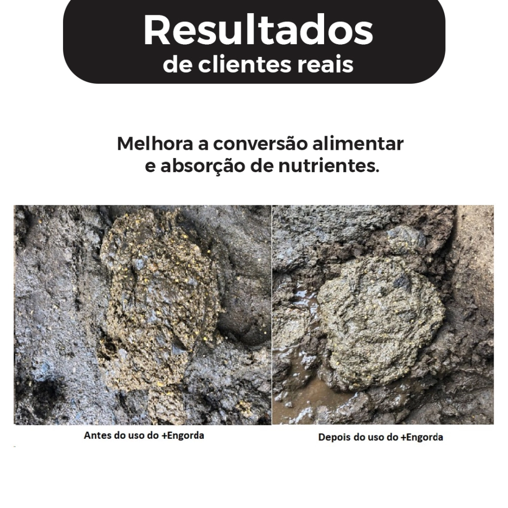 5KG DE SUPLEMENTO +ENGORDA (FRETE GRÁTIS)