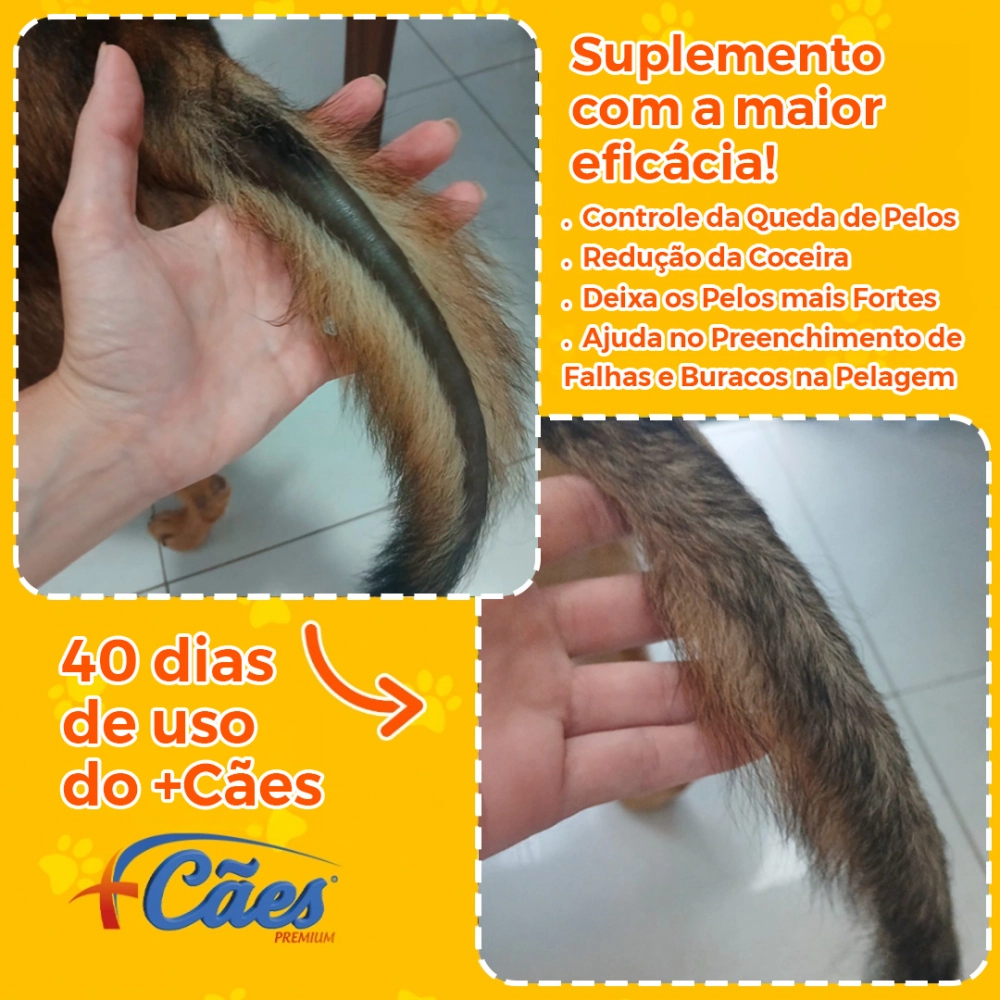 6 POTES 250G CADA DE SUPLEMENTO +CÃES (FRETE GRÁTIS)