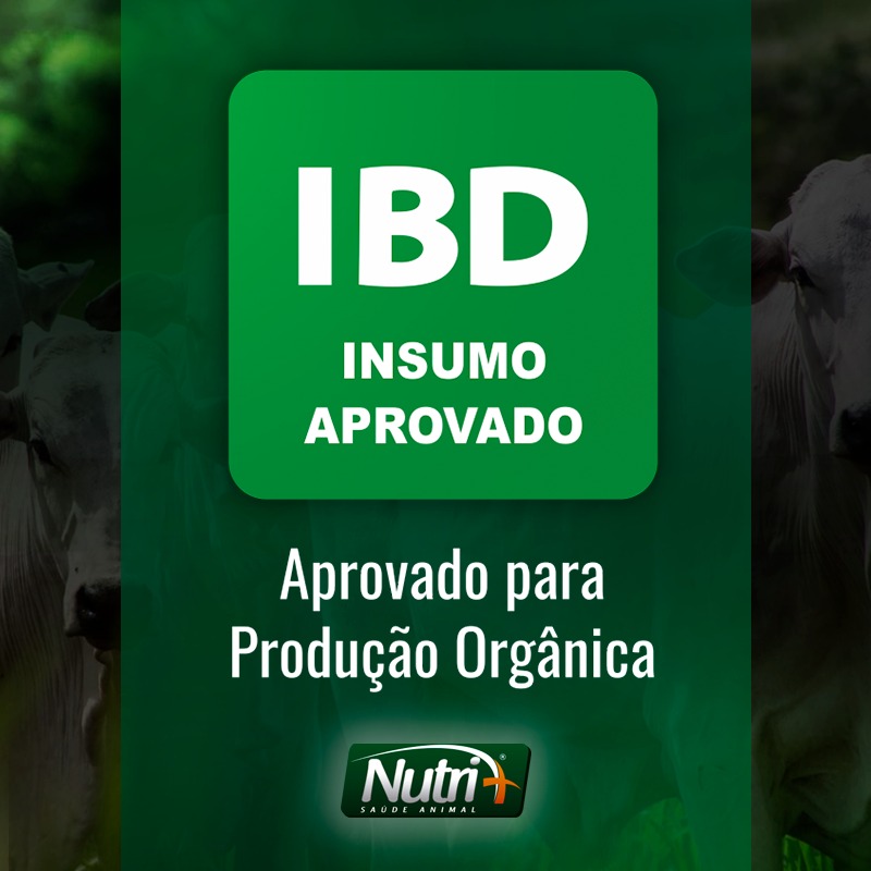 IBD (Brazil) – ICEA Certifica