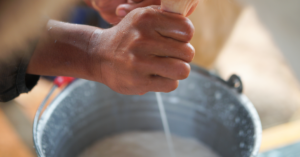 rebanho leiteiro: 6 dicas para aumentar a produtividade
