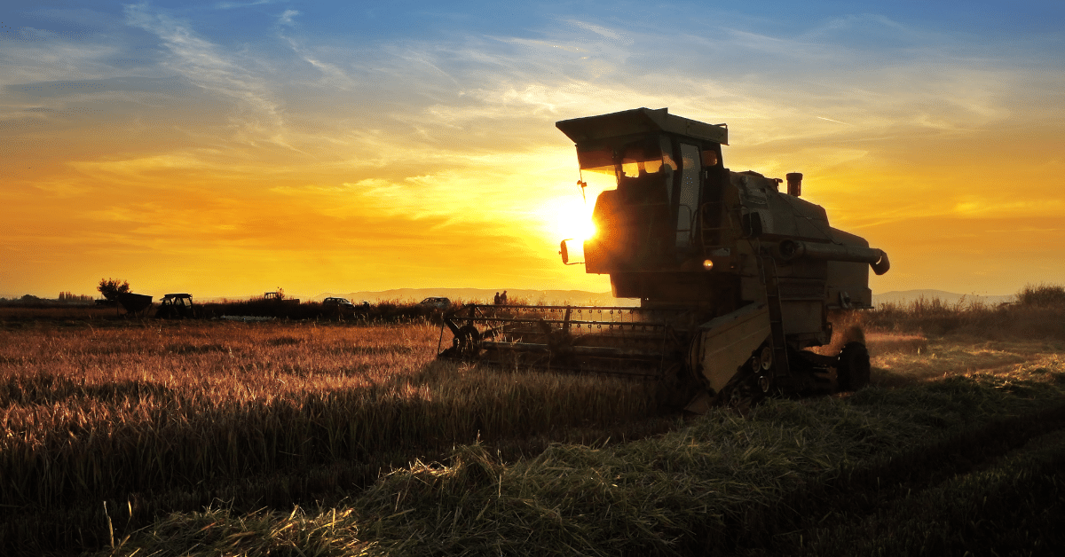 Como o agronegócio impulsiona a economia brasileira